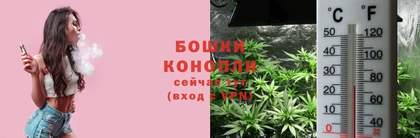 2c-b Богданович