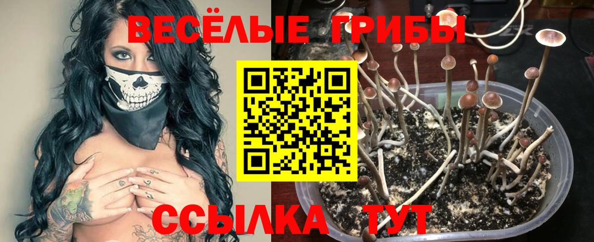 Галлюциногенные грибы Magic Shrooms  Балаково  дарнет шоп  Псилоцибиновые грибы мицелий 