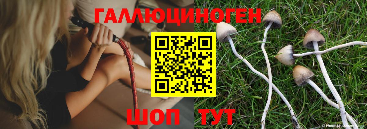 Псилоцибиновые грибы MAGIC MUSHROOMS  Галлюциногенные грибы Cubensis  Балаково  Вход с VPN 