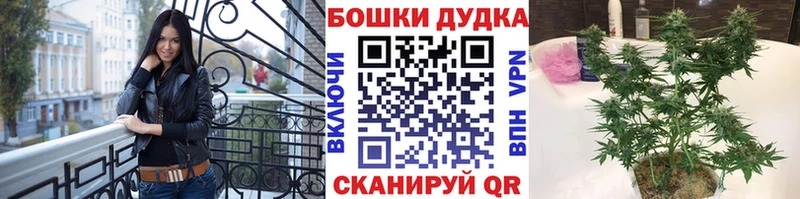 Шишки марихуана планчик Балаково
